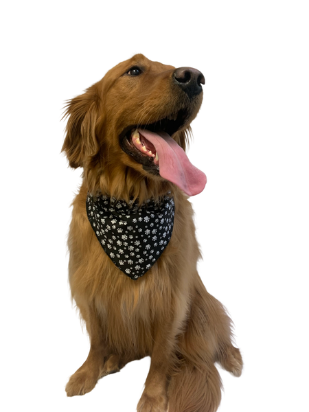 S3015 White Paws Bandana, Black