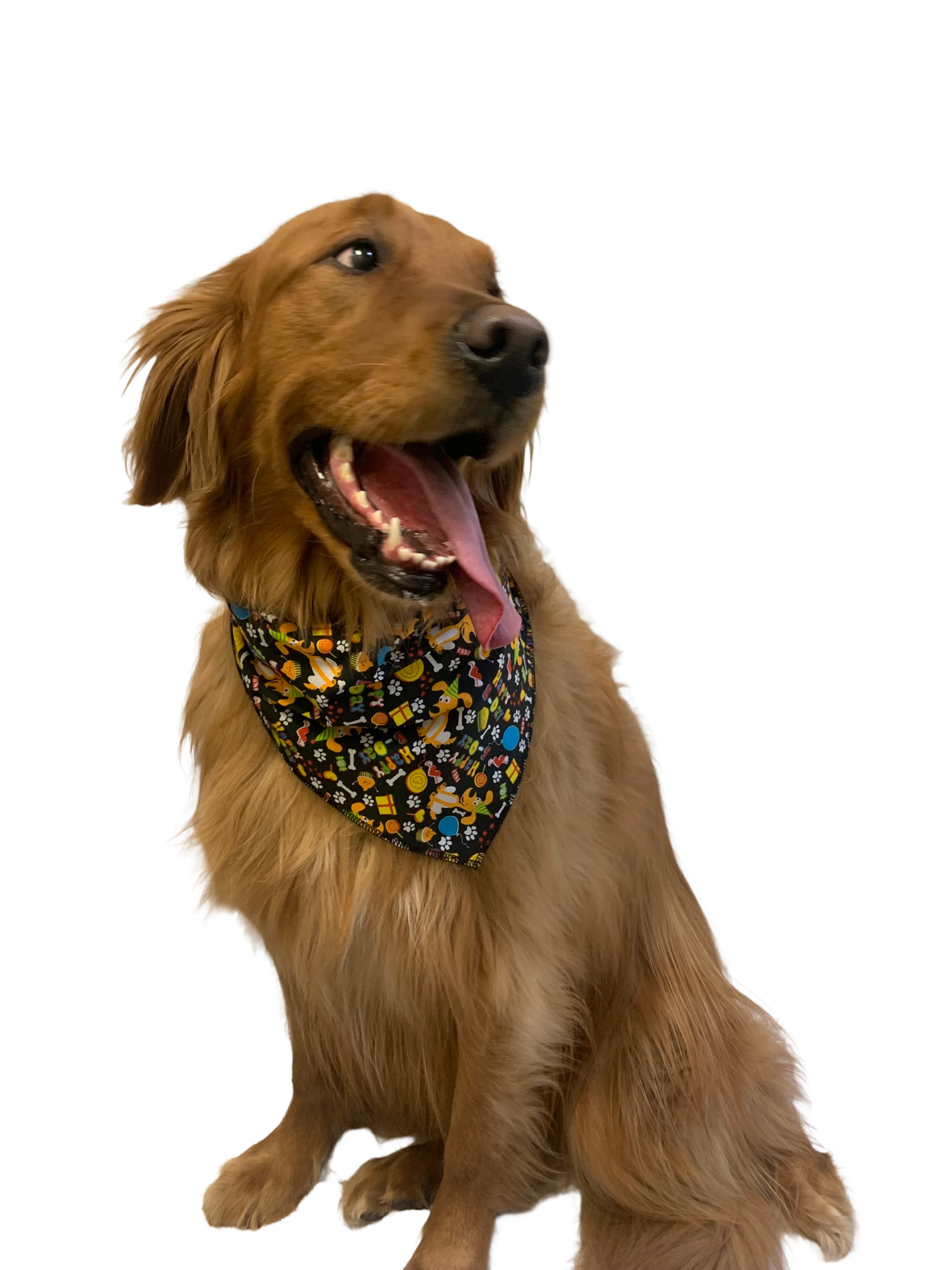 S3032 Happy Birthday Doggie Bandana, Black