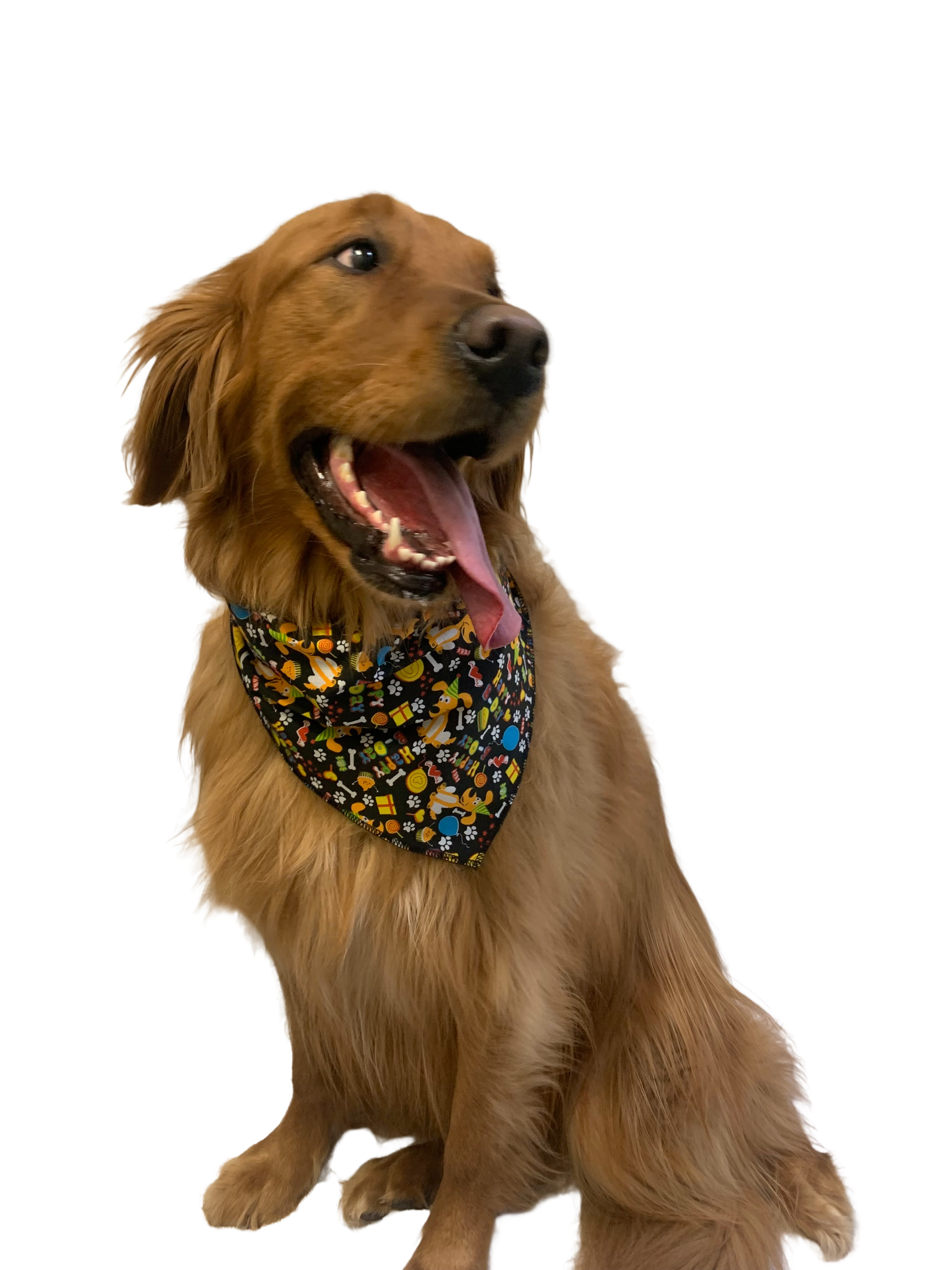 S3032 Happy Birthday Doggie Bandana, Black