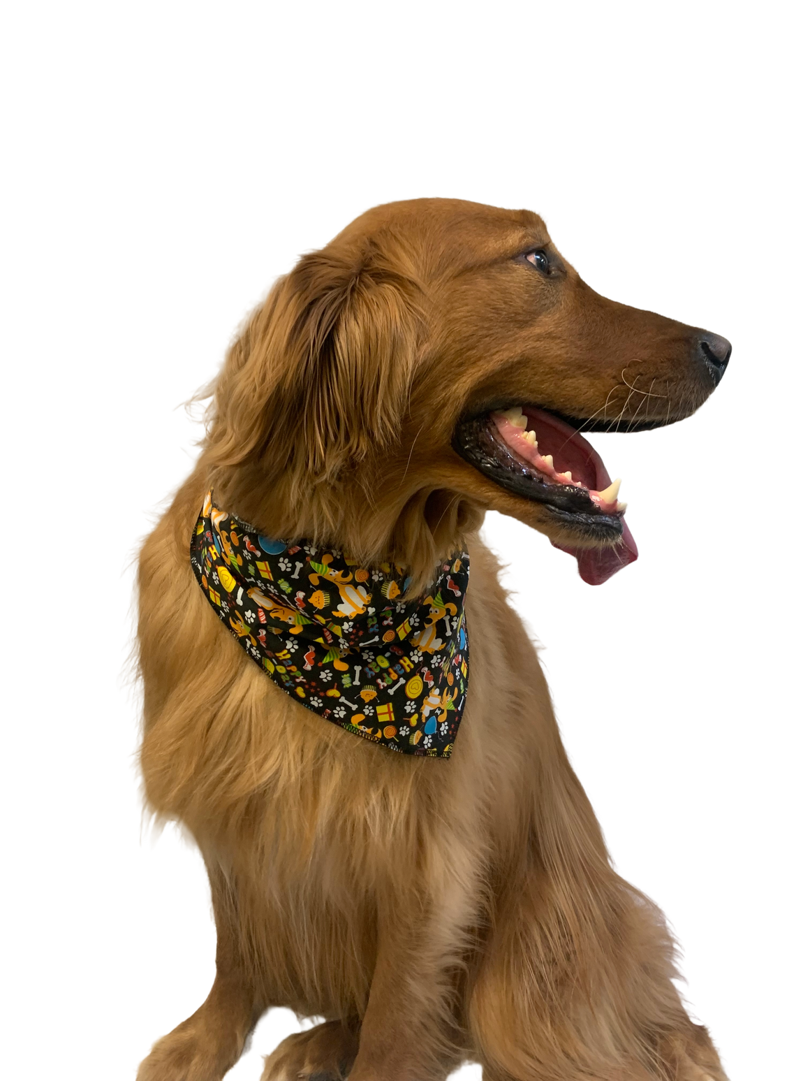 S3032 Happy Birthday Doggie Bandana, Black