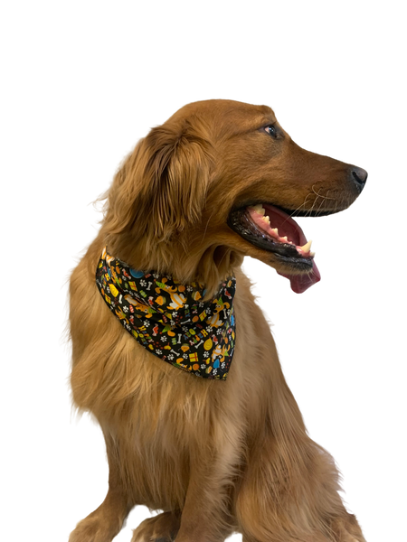 S3032 Happy Birthday Doggie Bandana, Black
