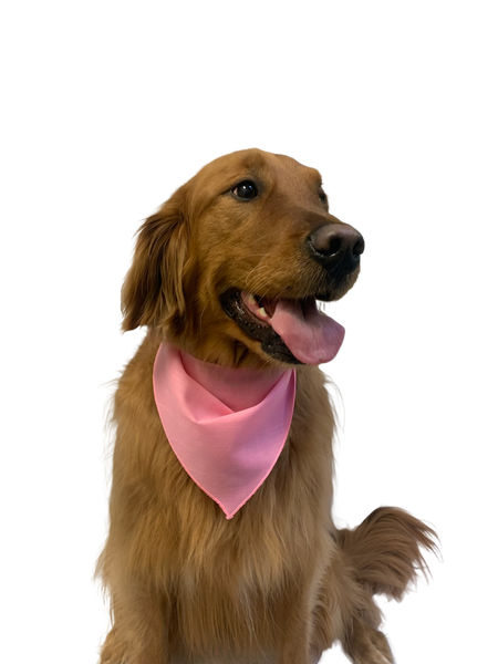 S3060 Light Pink Bandana
