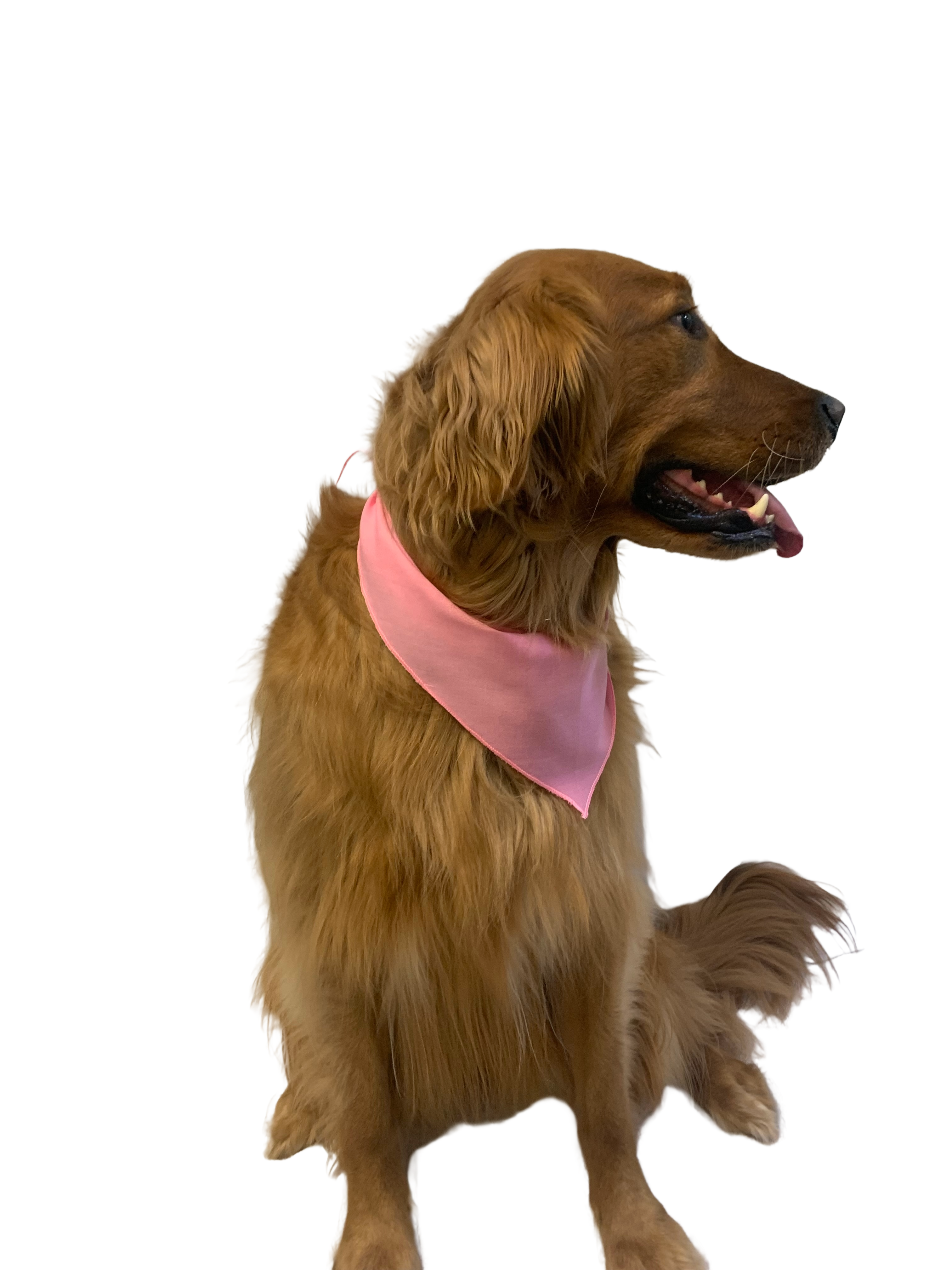 S3060 Light Pink Bandana