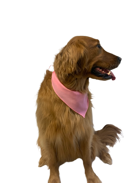S3060 Light Pink Bandana