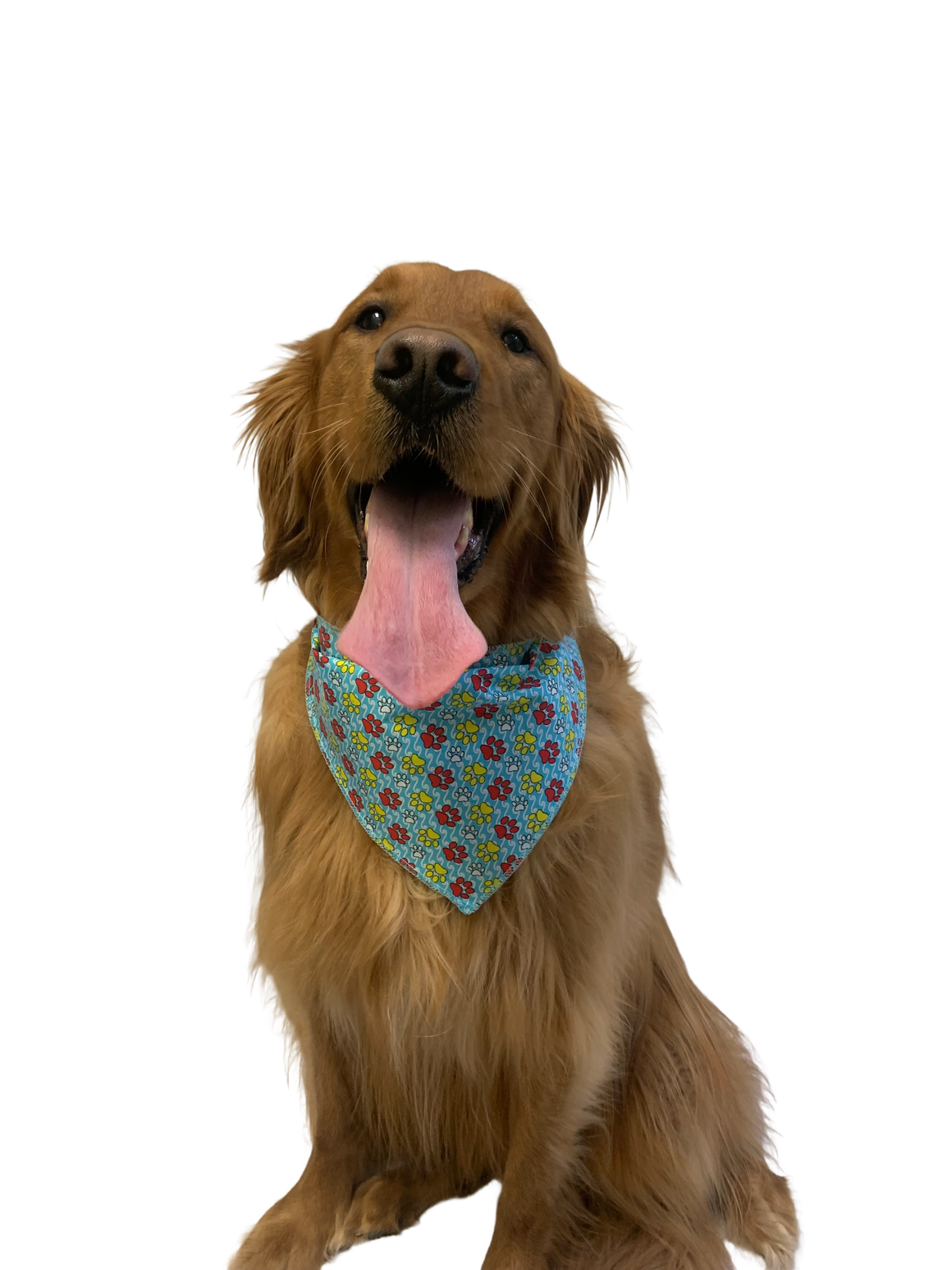 S3093 Colorful Paws, Blue