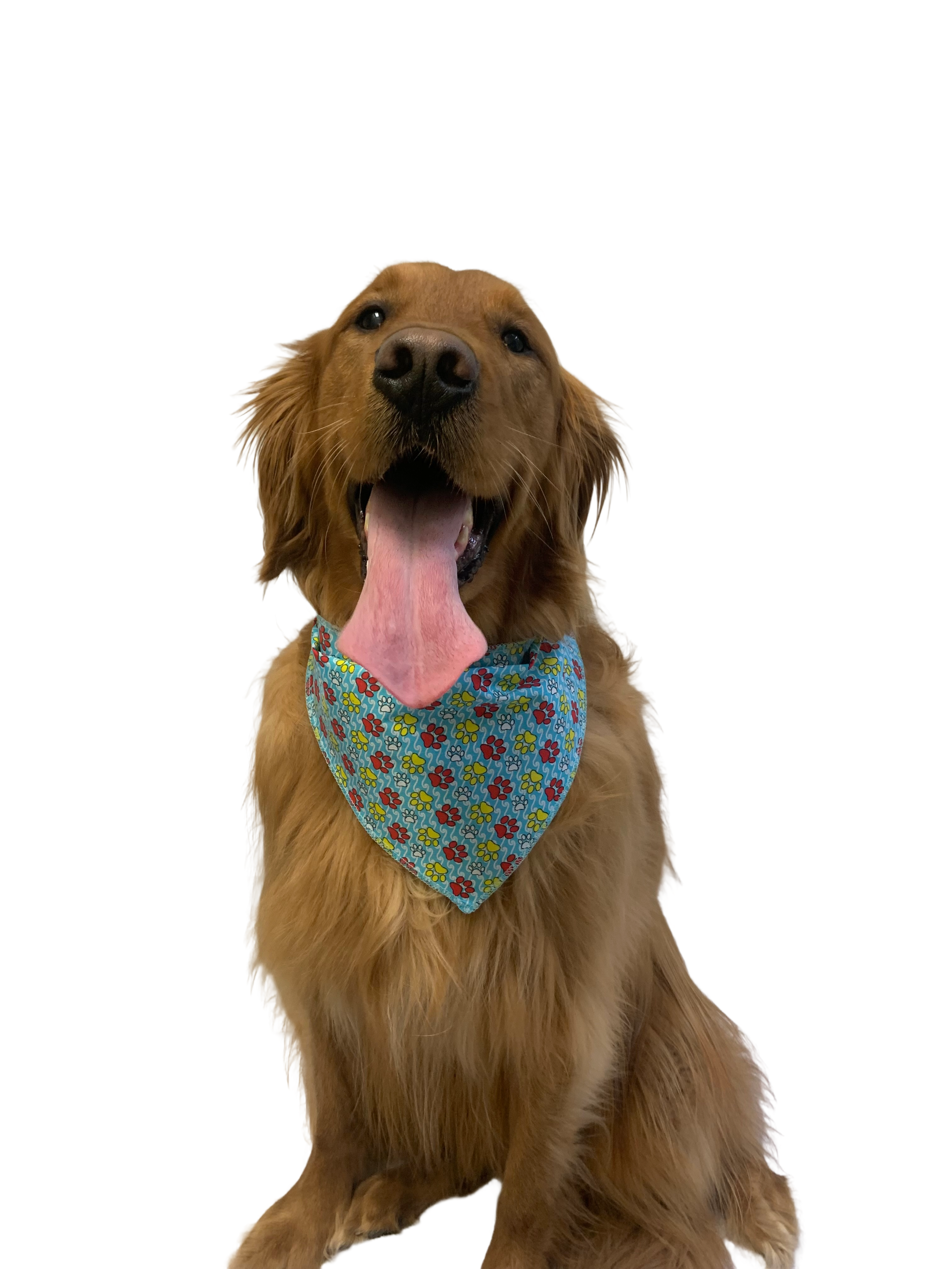S3093 Colorful Paws, Blue