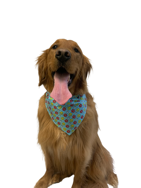 S3093 Colorful Paws, Blue