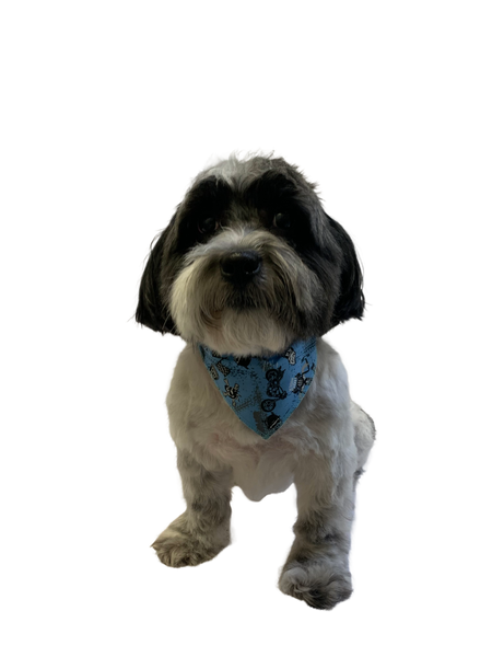 S3103 Dog Rider Bandana, Blue