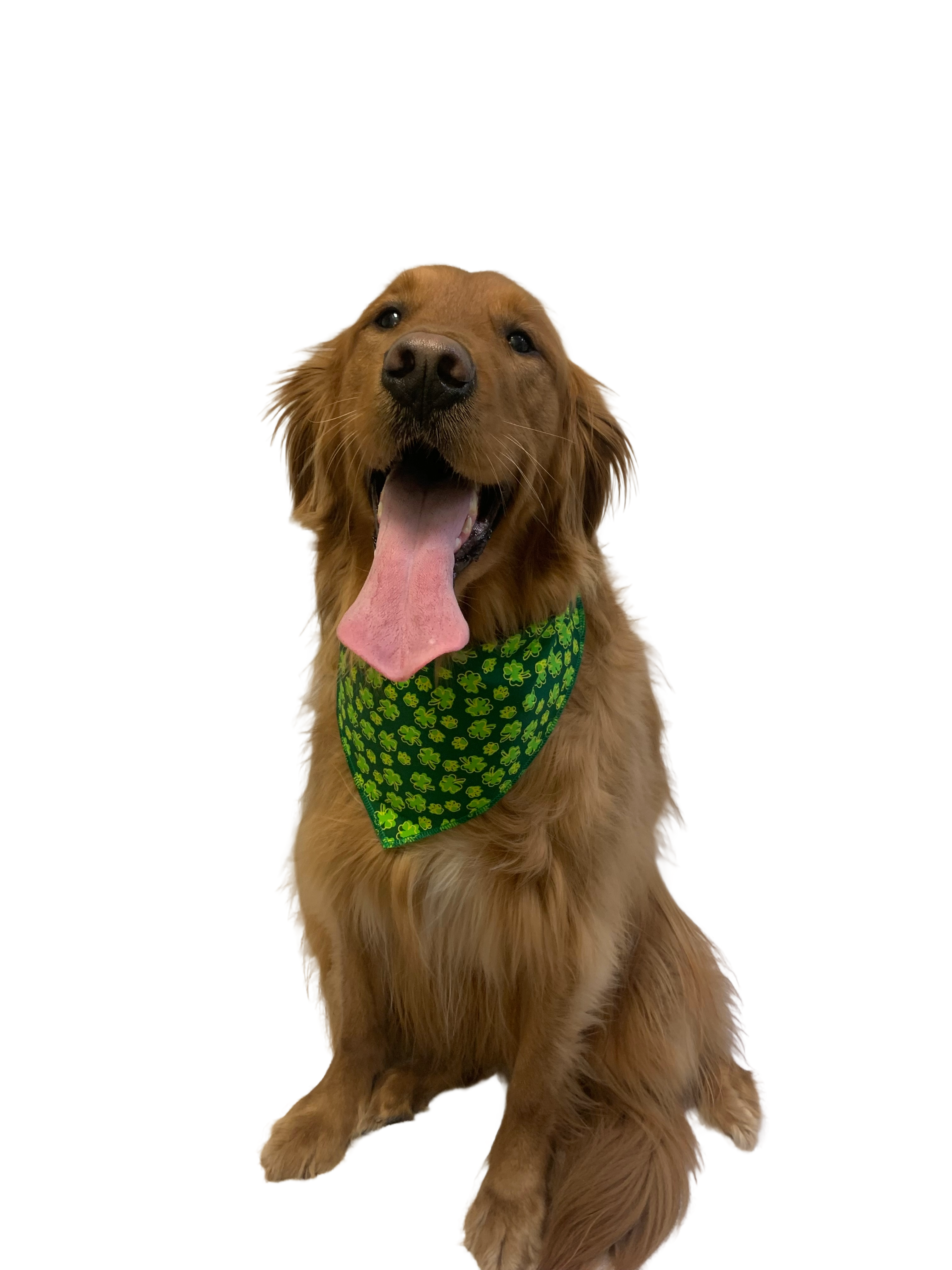S3152 St. Patrick's Day Bandanas
