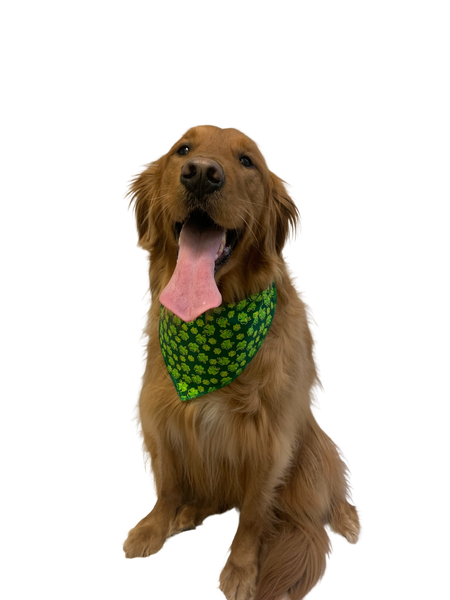 S3152 St. Patrick's Day Bandanas