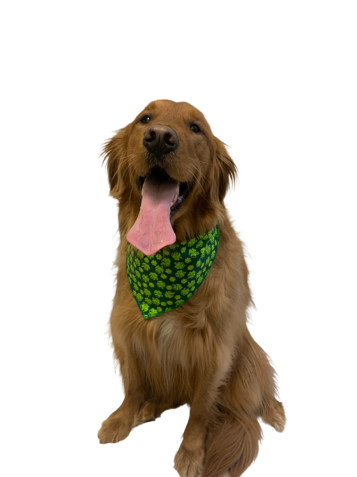 S3152 St. Patrick's Day Bandanas