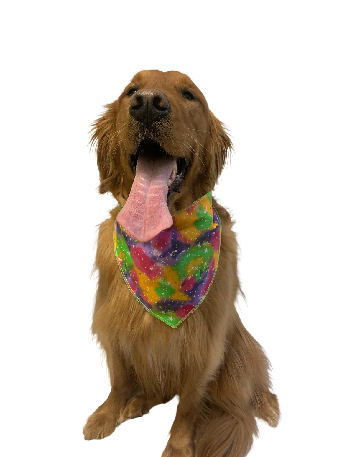 S3164 Casual Bandana