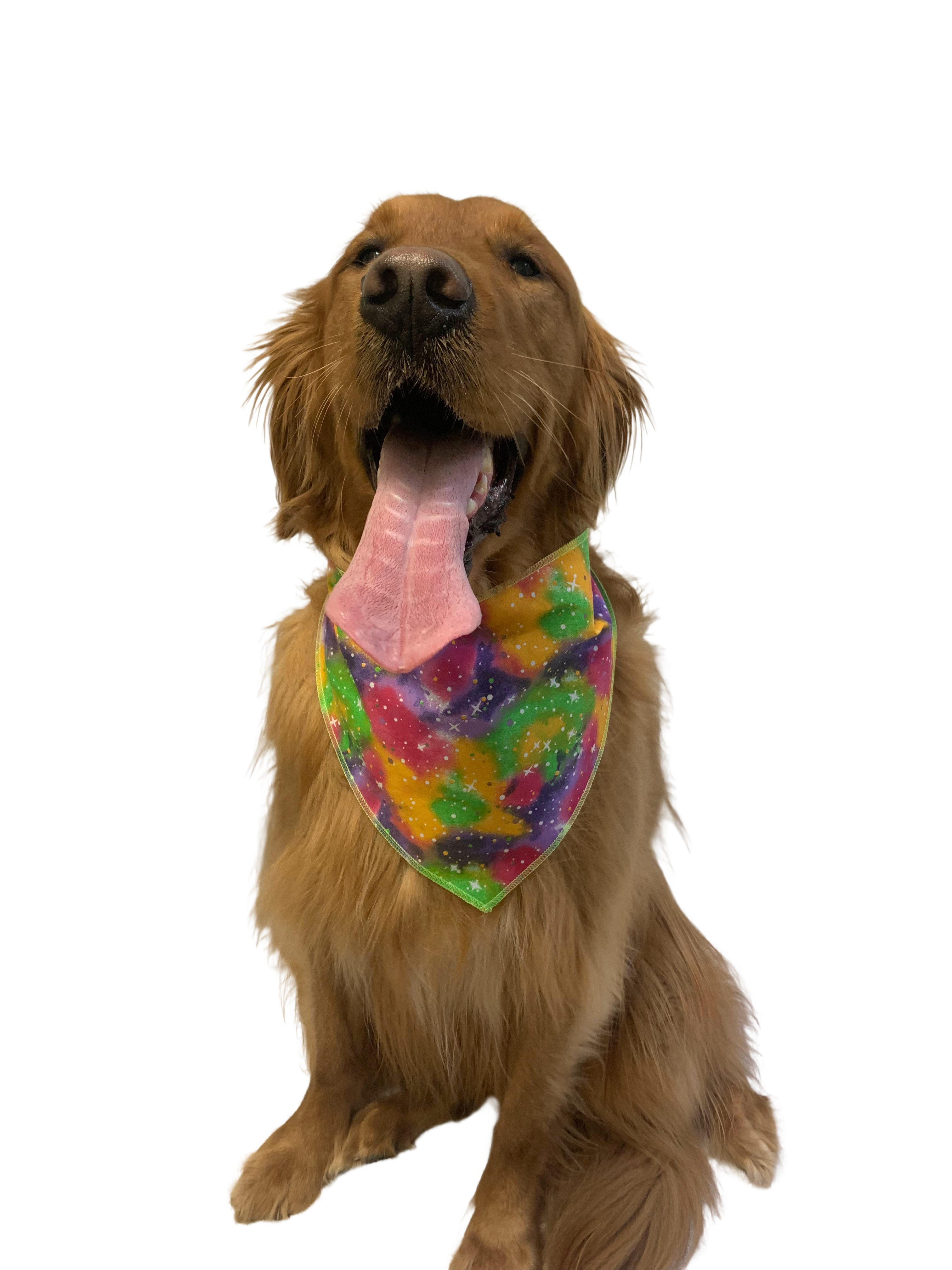 S3164 Casual Bandana