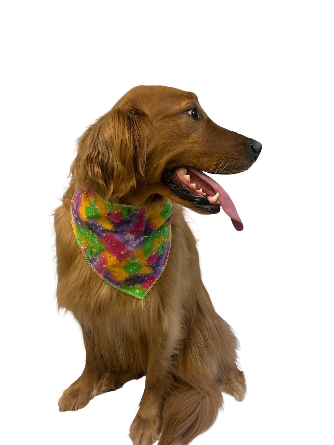 S3164 Casual Bandana