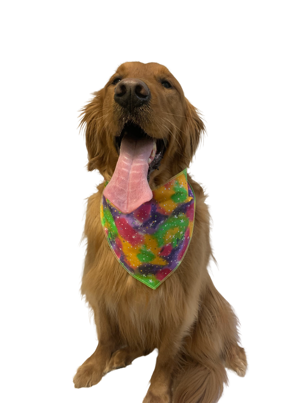 S3164 Casual Bandana