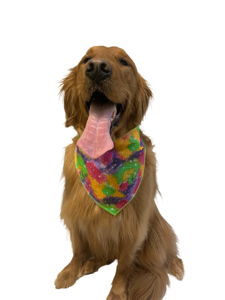 PKS3 60 Assorted Casual Tieback Dog Grooming Bandanas / Groomers Bulk Package