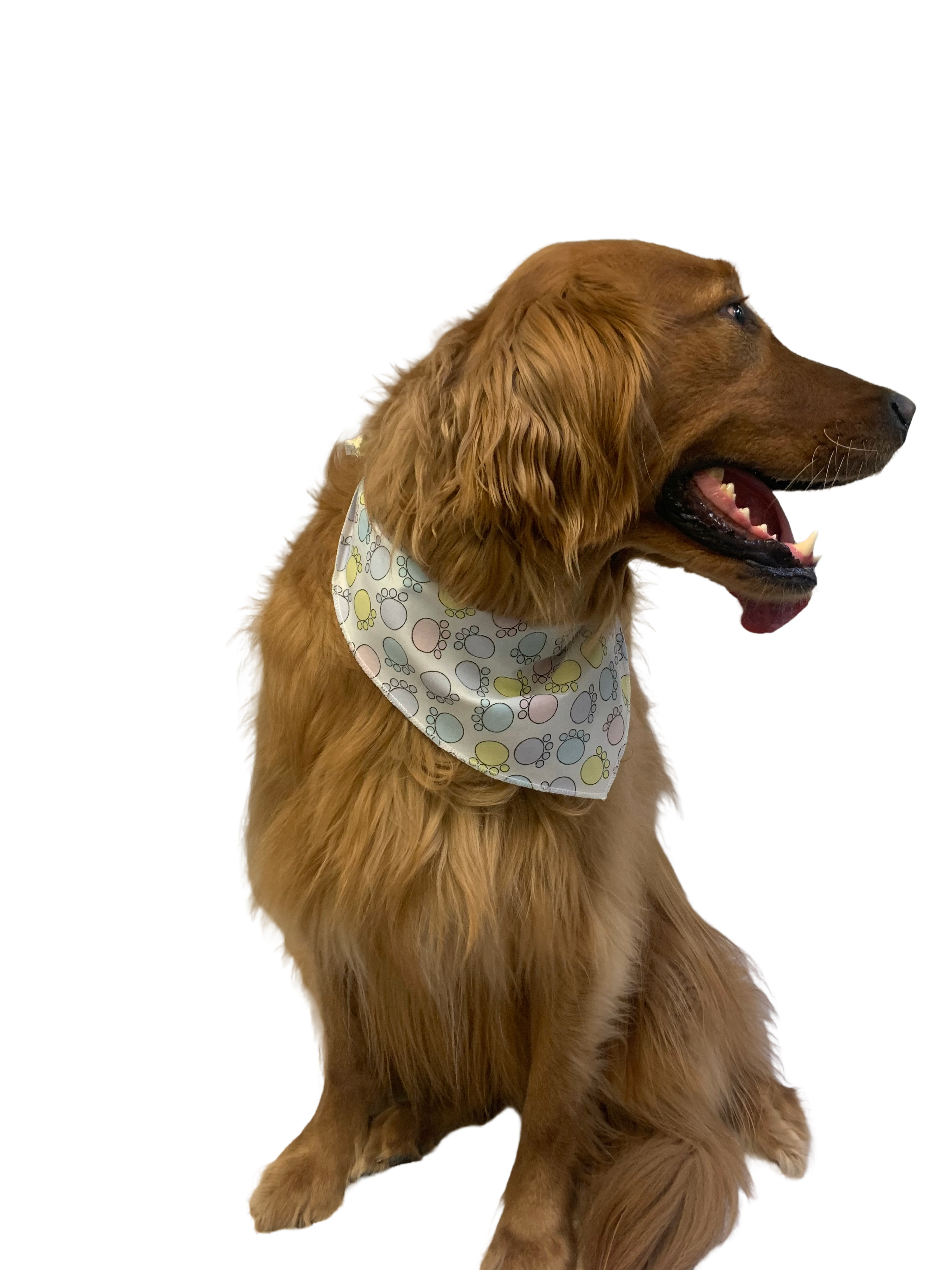 S3168 Easter Paws Bandana, White