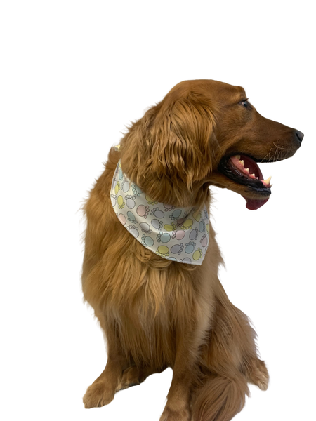 S3168 Easter Paws Bandana, White