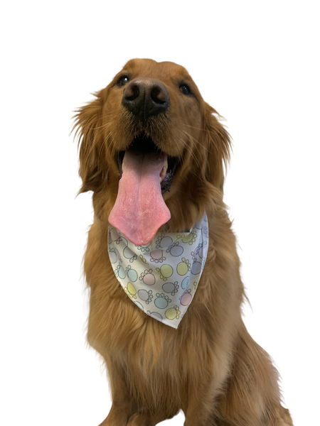 S3168 Easter Paws Bandana, White