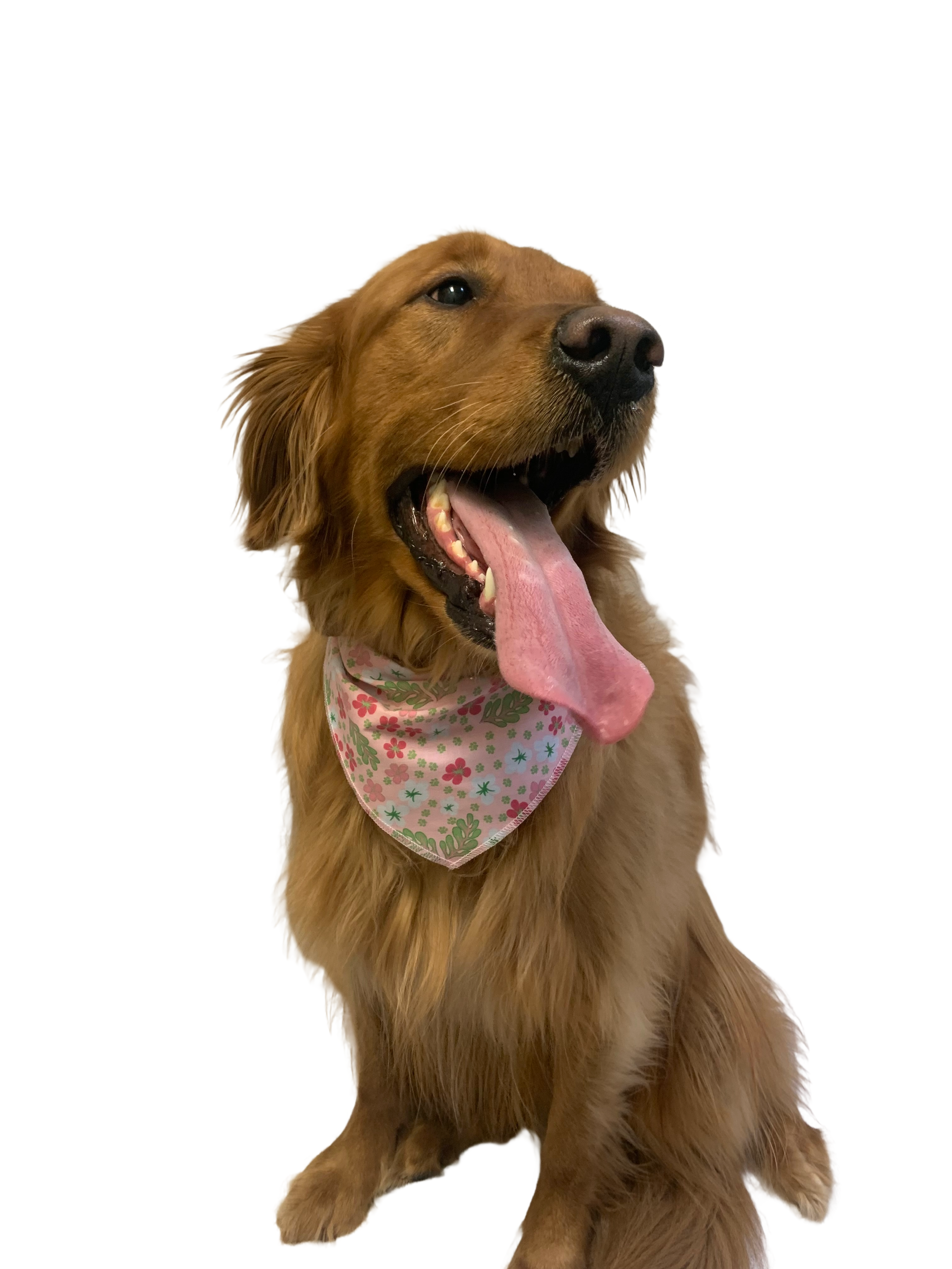 S3187 Spring Summer Bandana, Pink Flowers
