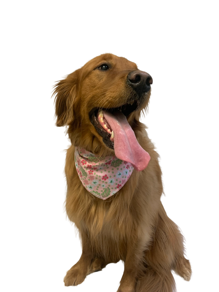 S3187 Spring Summer Bandana, Pink Flowers