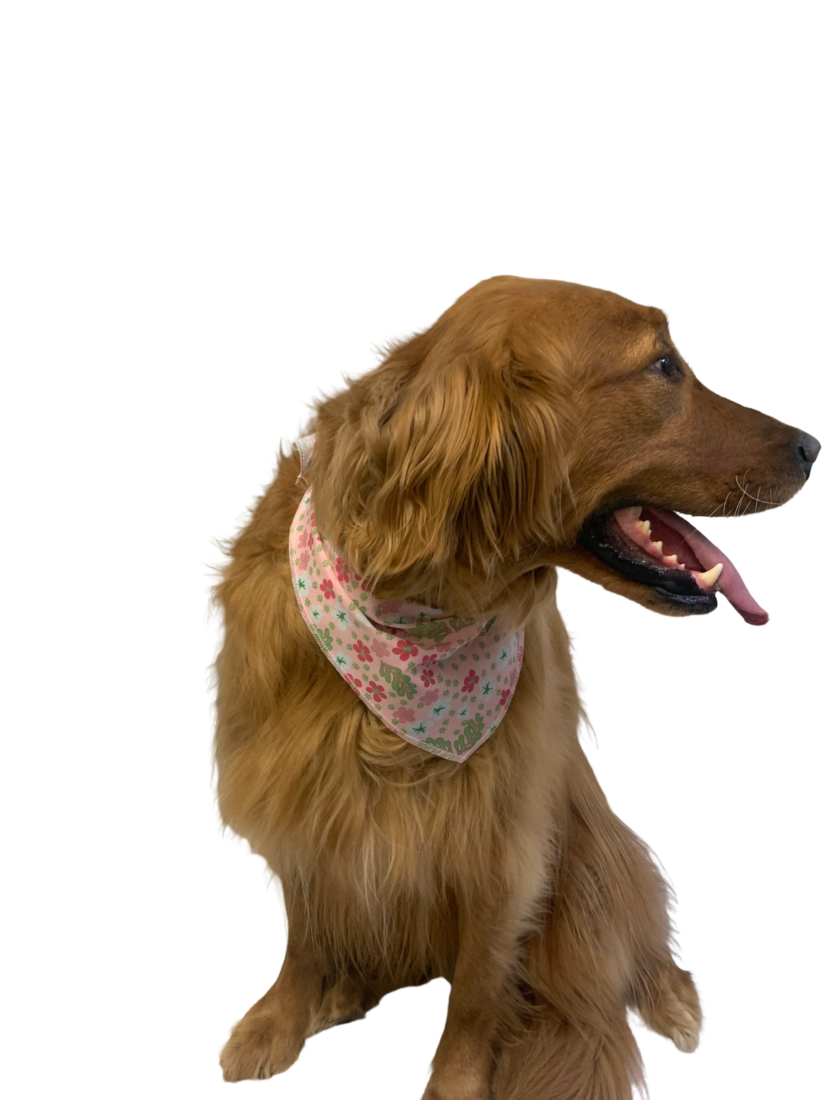 S3187 Spring Summer Bandana, Pink Flowers