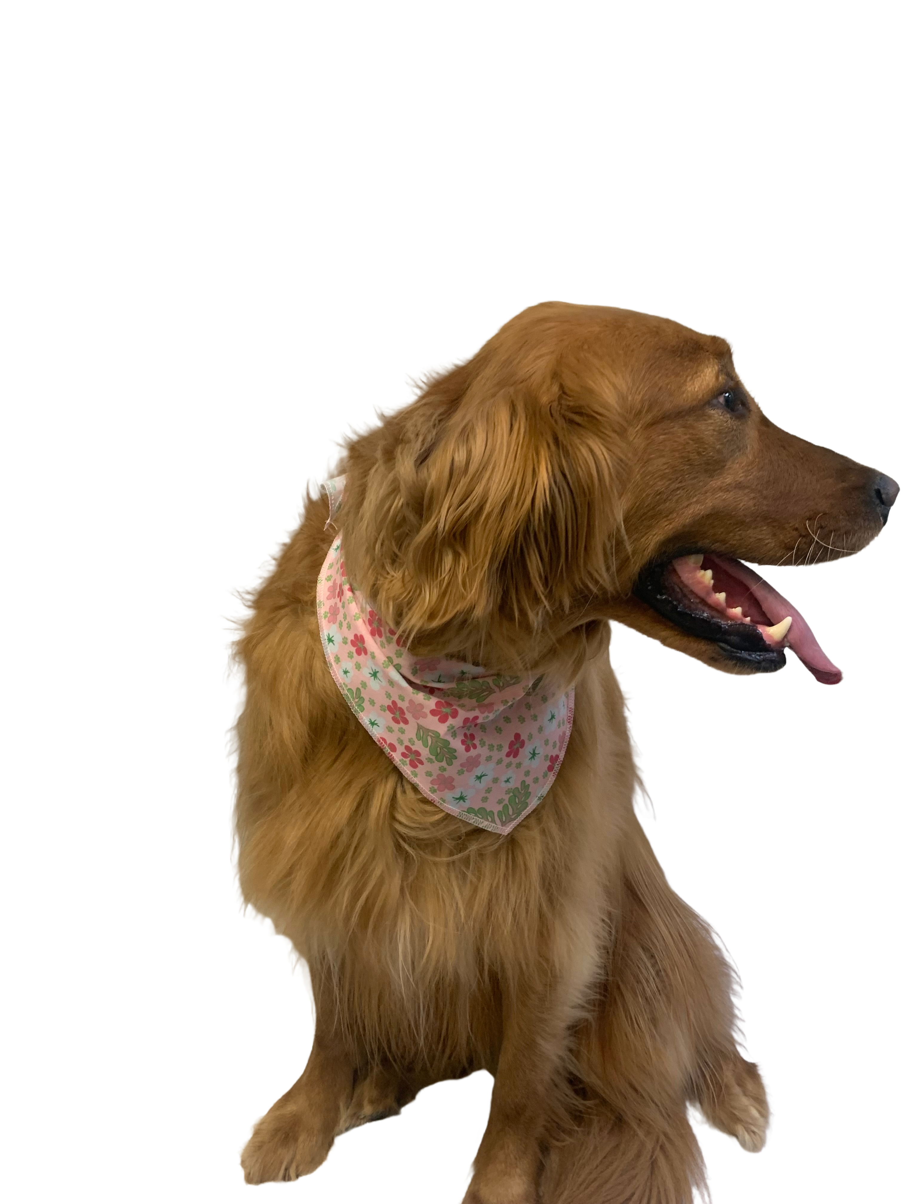 S3187 Spring Summer Bandana, Pink Flowers