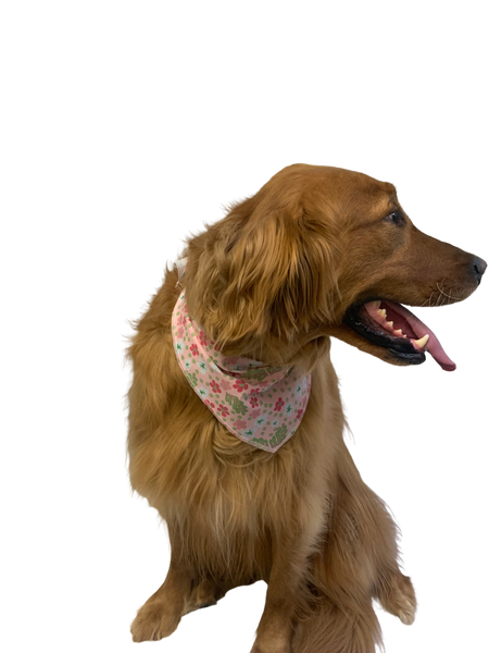 S3187 Spring Summer Bandana, Pink Flowers