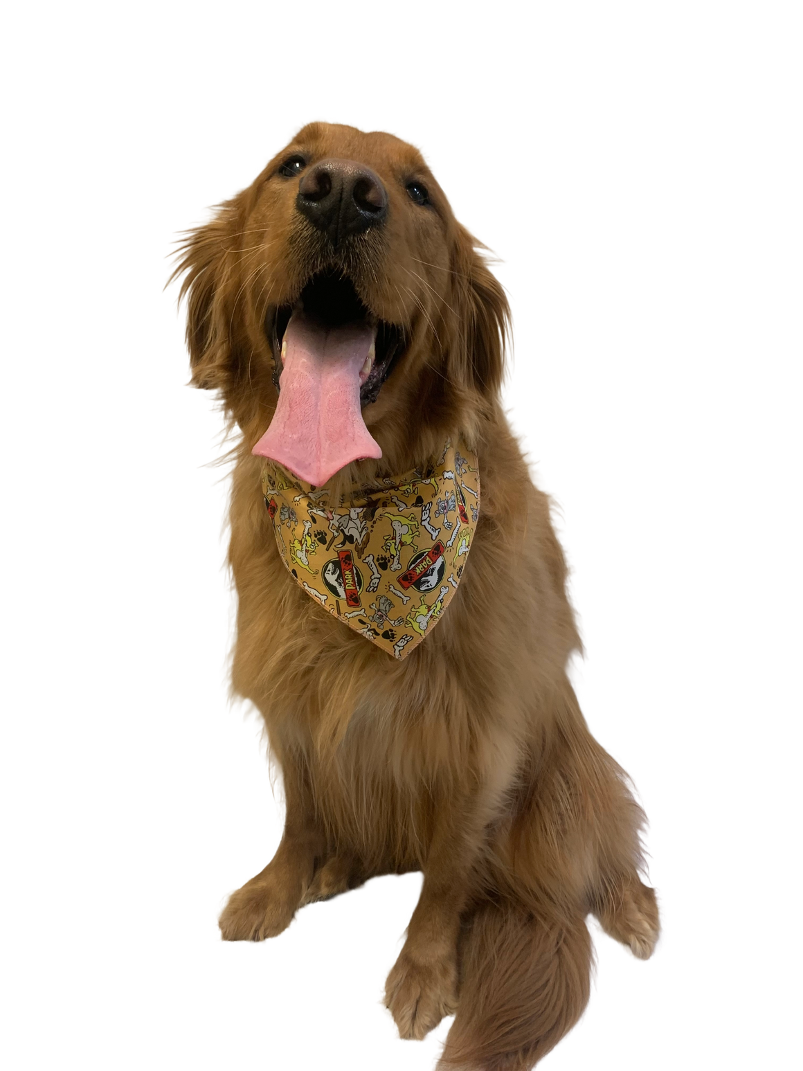 S3192 Dogs Digging Up Dino Bones Funny Bandana, Brown