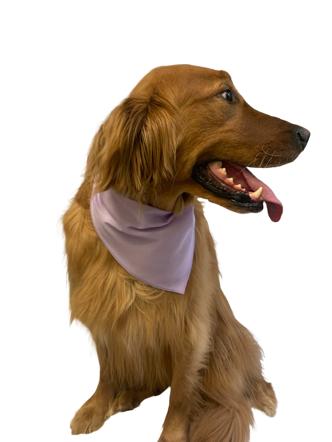 S3199 Light Purple - Lavender Bandana