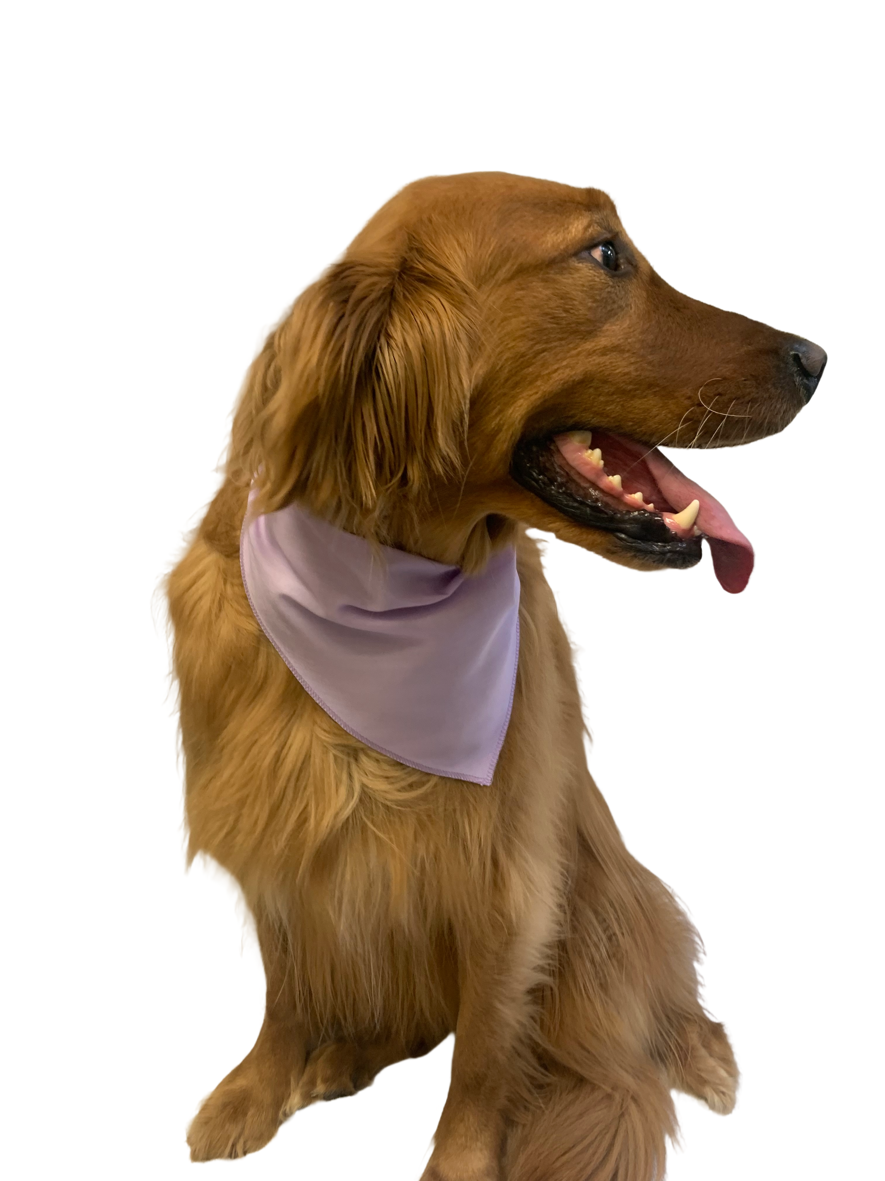 S3199 Light Purple - Lavender Bandana