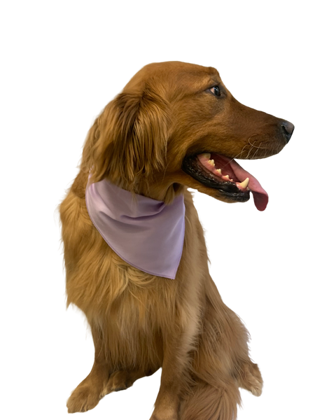 S3199 Light Purple - Lavender Bandana