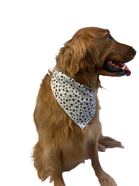 S3200 Black Pawprints Bandana, White