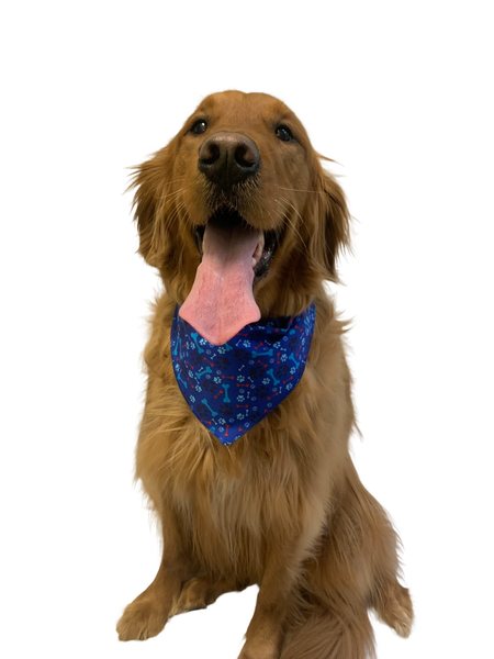 S3215 Paws & Bones Bandana, Blue