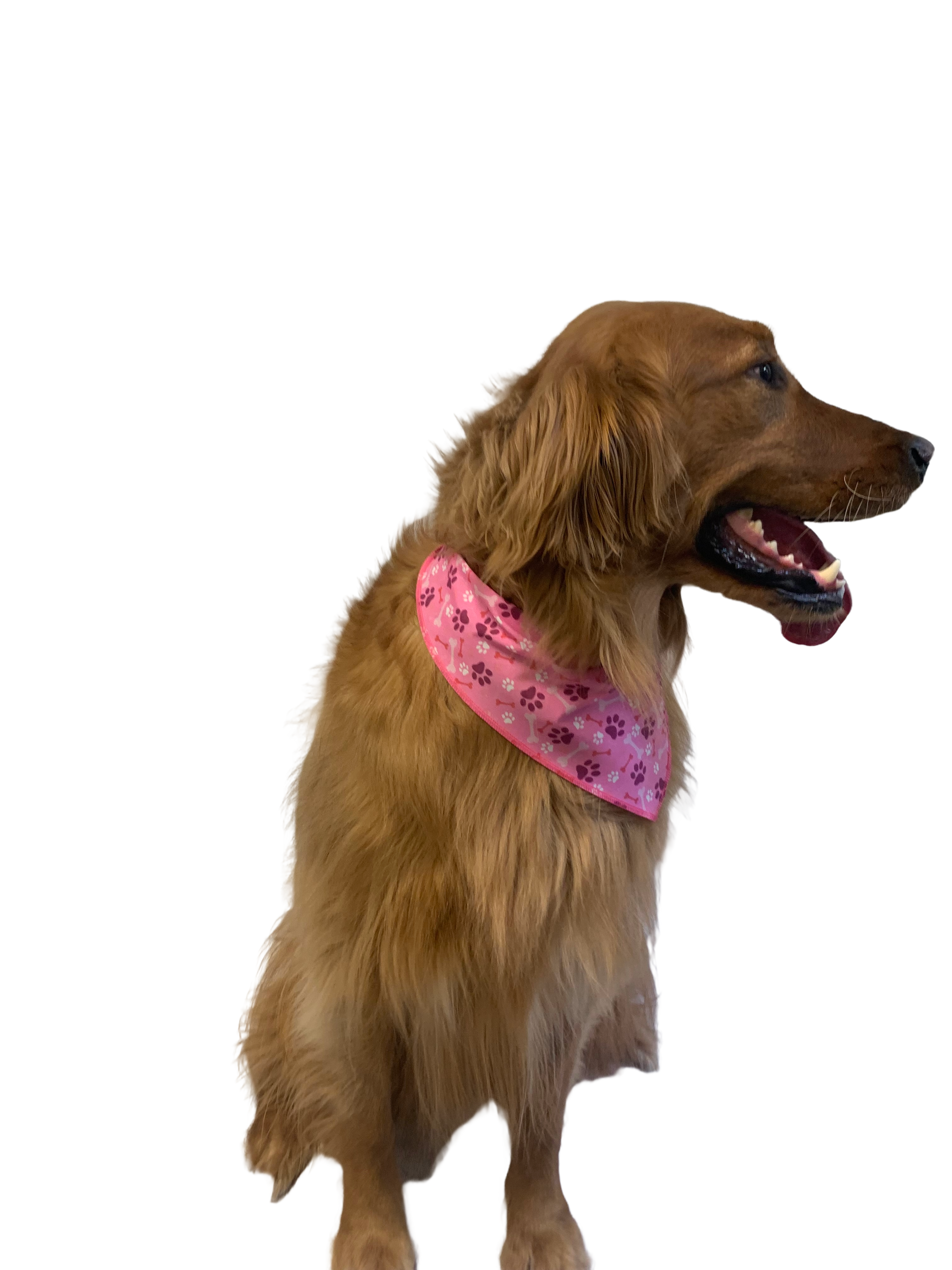 S3216 Paws & Bones Bandana, Pink