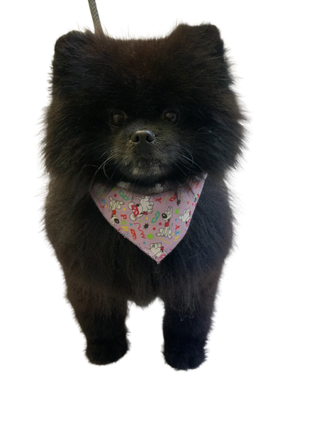 S3240 Party Doggie Bandana, Purple 