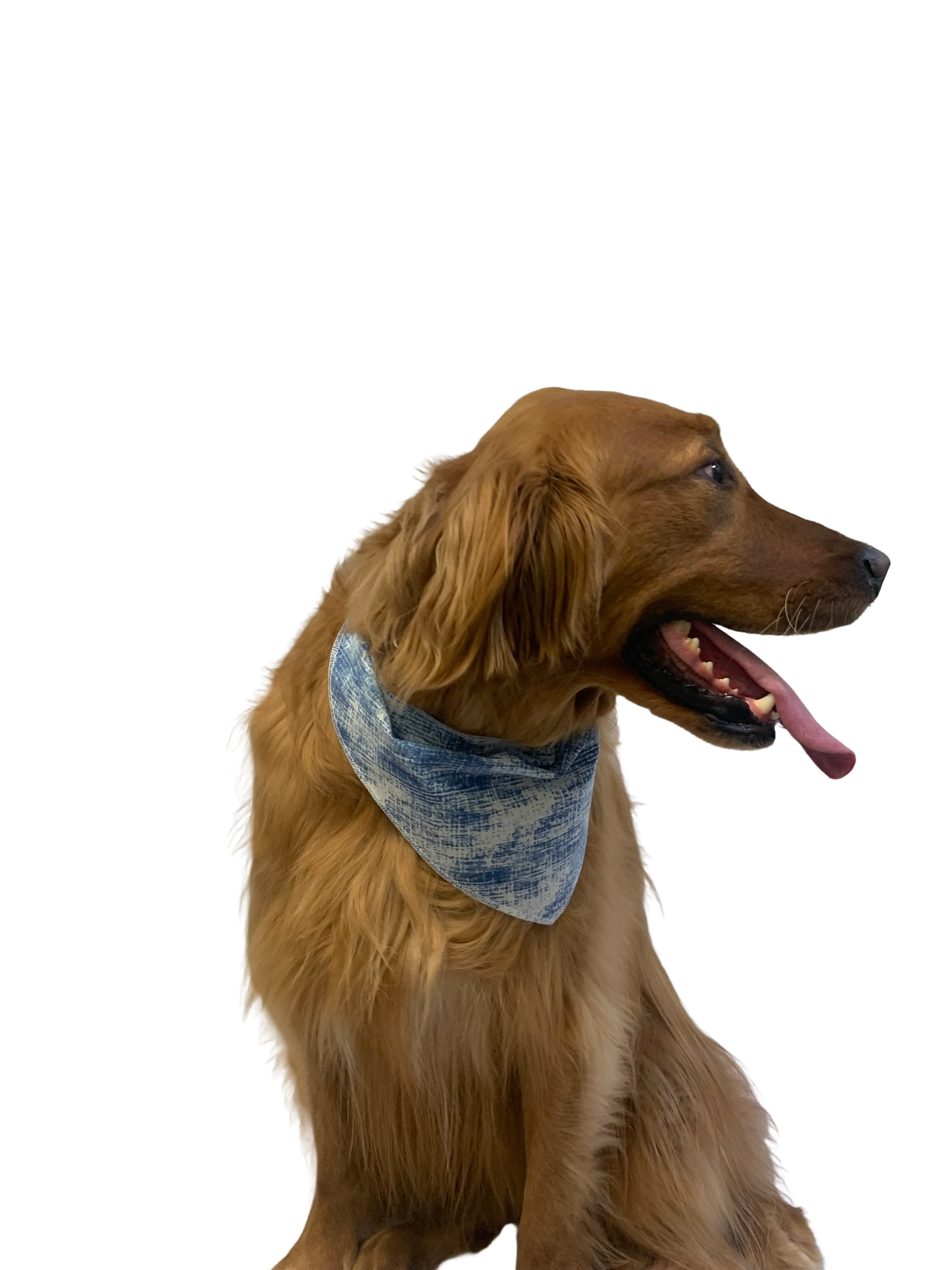 S3246 Doggie Bandana, Blue