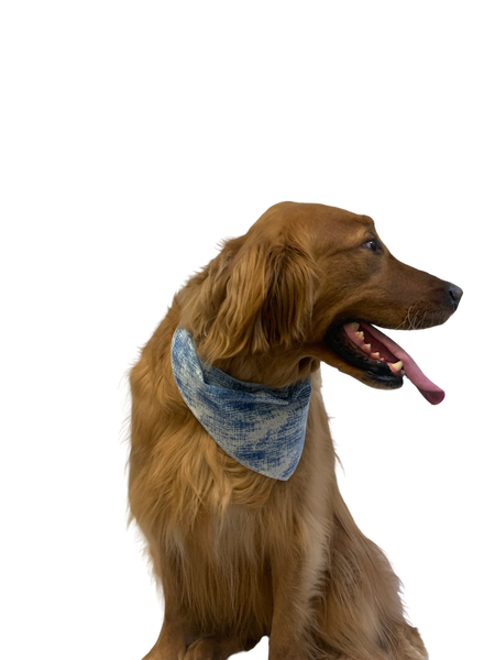 S3246 Doggie Bandana, Blue