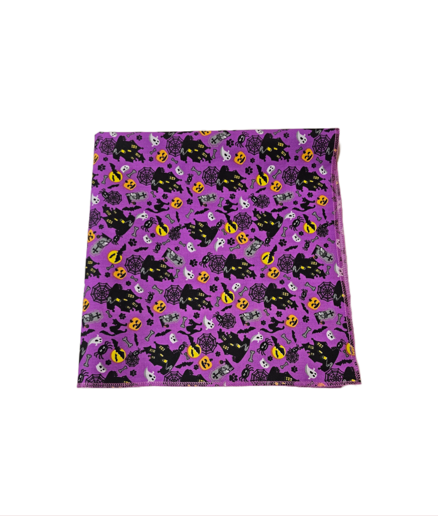 SQ3172 Halloween Bandana