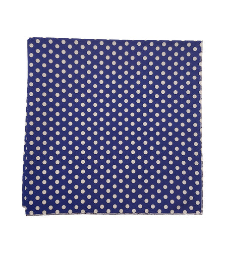 SQ3046 White Dots Doggie Bandana, Blue