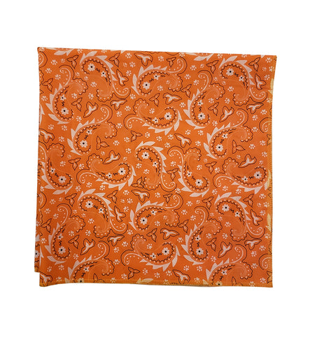 SQ3051 Paisley & Pawprints Bandana, Orange